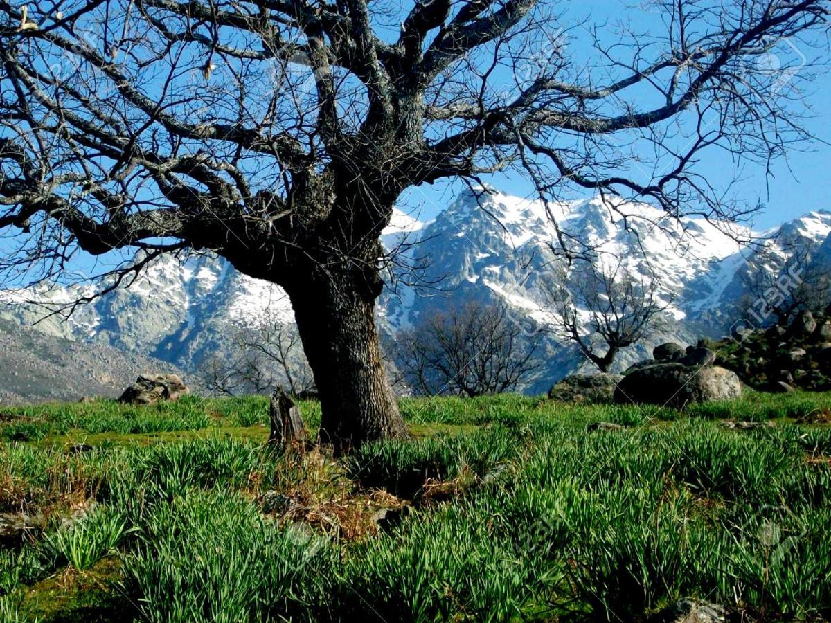 Casa Rural Alto Santiago Santiago del Collado エクステリア 写真